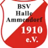 BSV Halle Ammendorf II