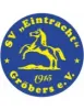 SV Eintracht Gröbers