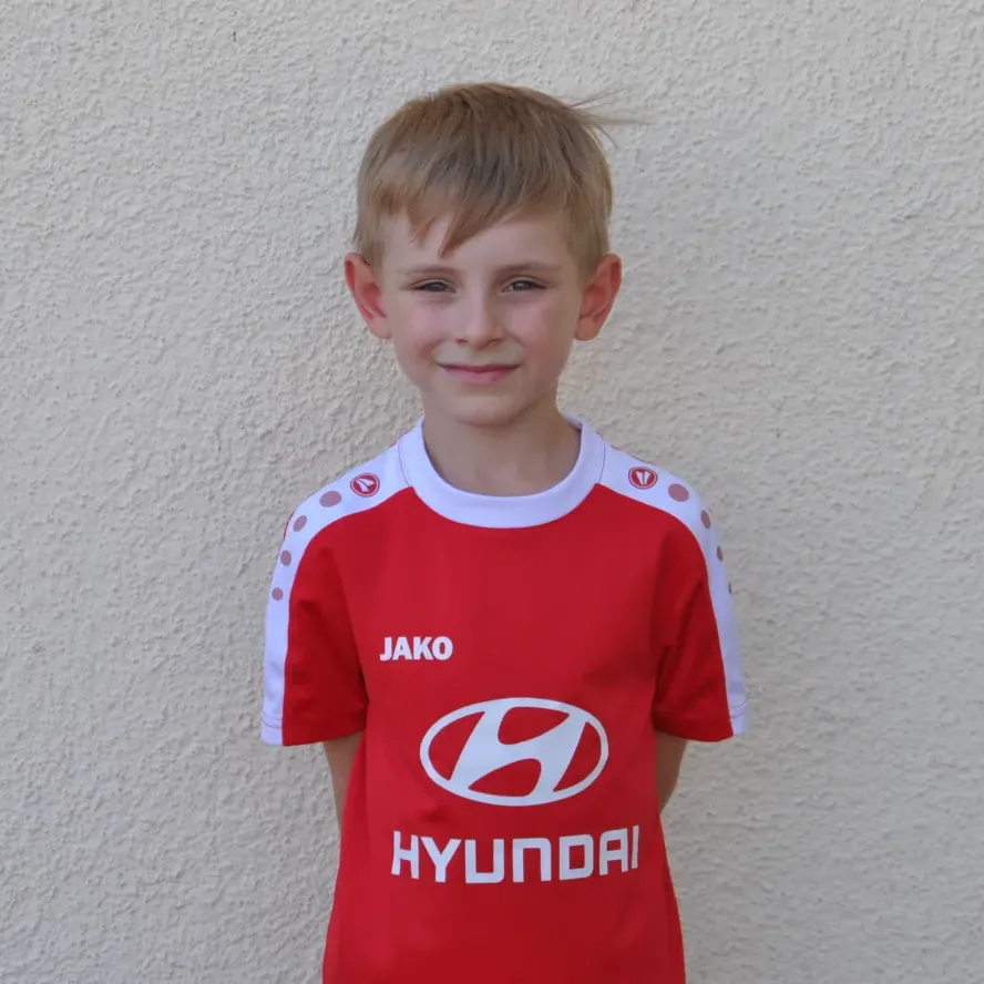 Dennik Fips K.